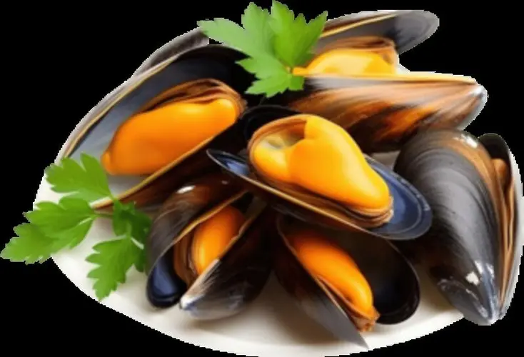 Lb Black Mussels