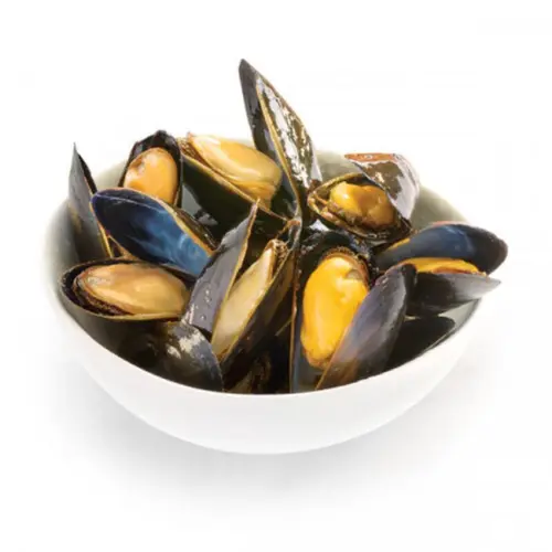 Black Mussel