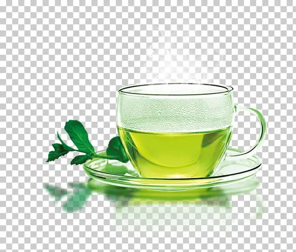 Hot Green Tea