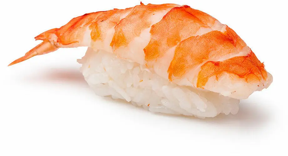 Shrimp Sushi