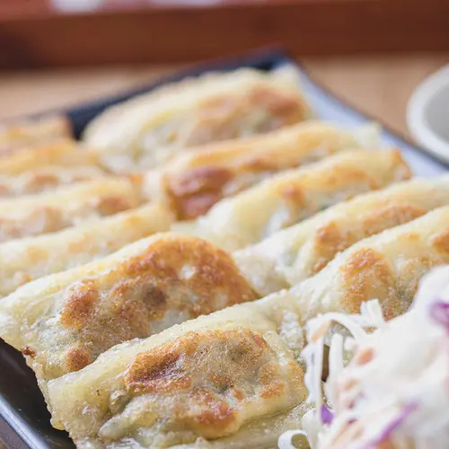 Pan Fried Dumplings