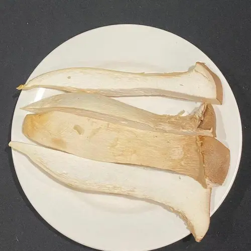 King Mushroom