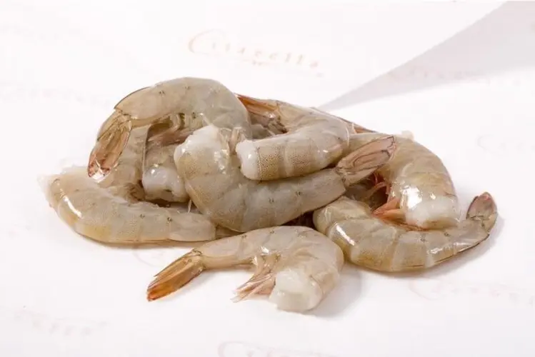 Medium Shrimp