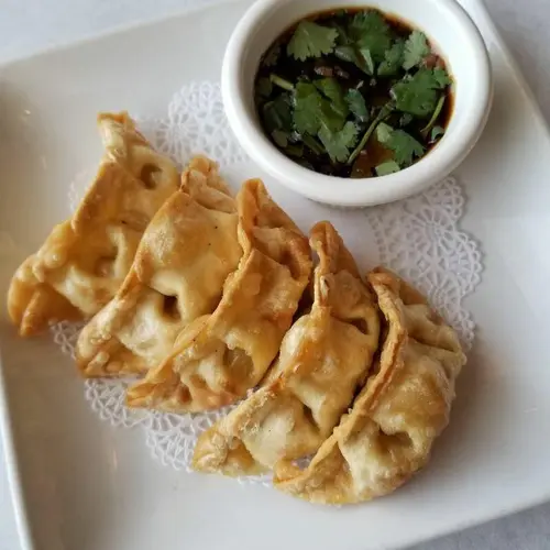 Veggie Gyoza