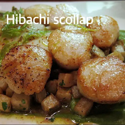 Hib Scallop