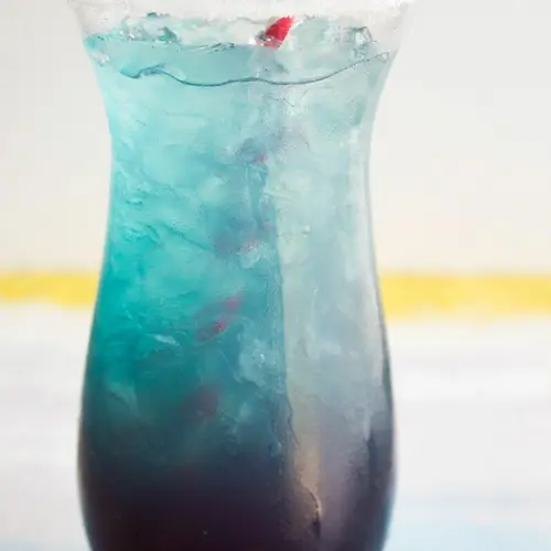 Shark Bite