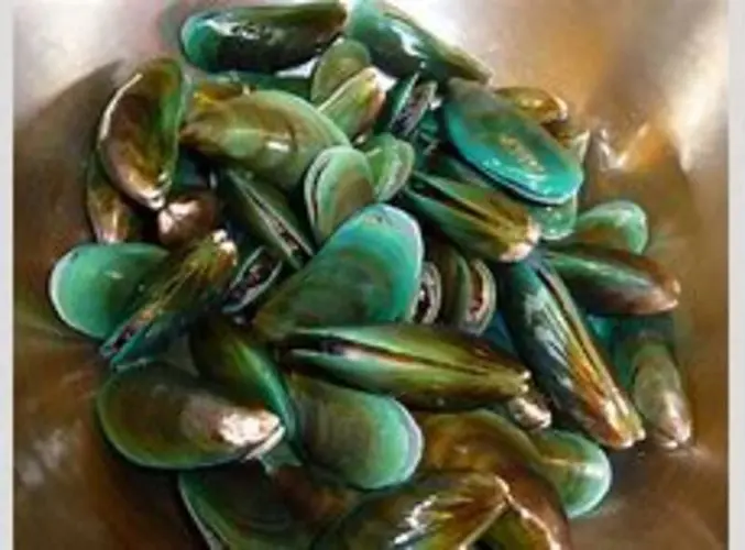 Green Mussels & Clams