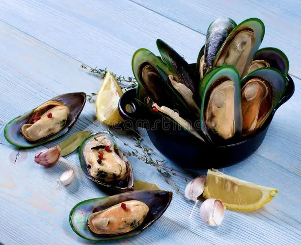 Lb Green Mussel