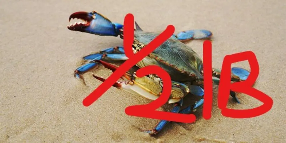 Blue Crabs