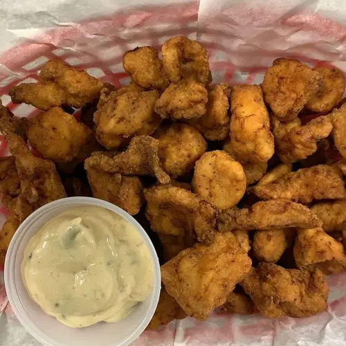 Alligator Bites