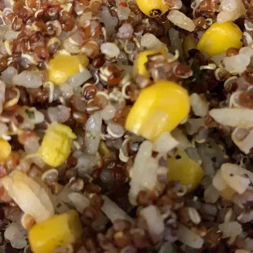 Red Quinoa Rice