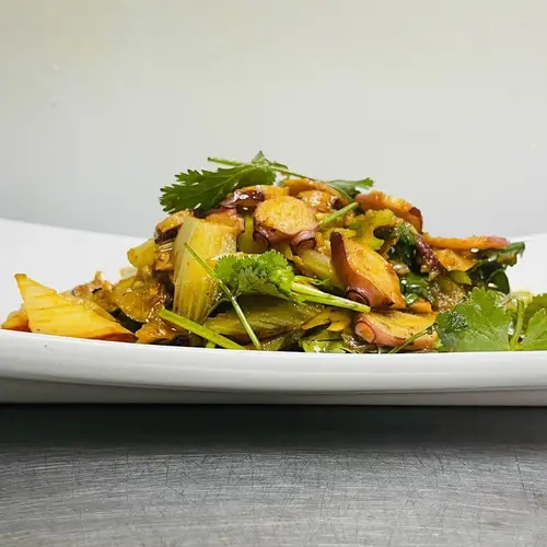 Szechuan Hot & Numbing Octopus