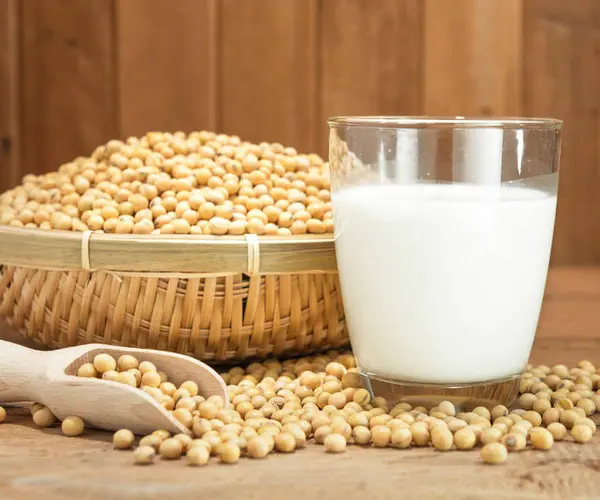Fresh Soy Milk