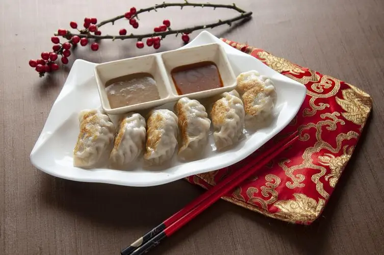 Veggie Pan Fried Dumplings