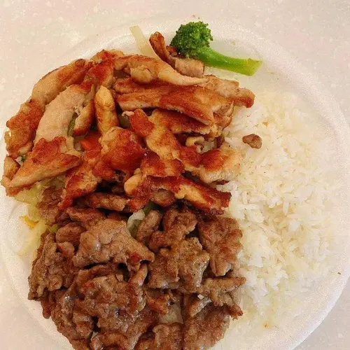 Chicken & Beef Teriyaki