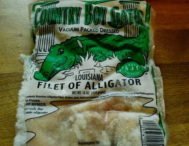 Alligator Maet
