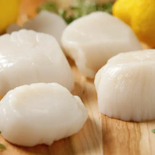 Dozen Scallop