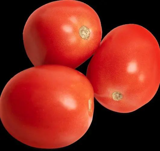 Roma Tomatoes