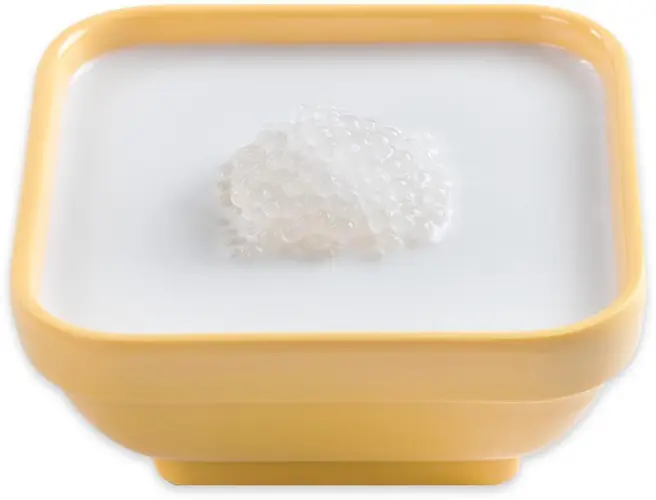 Coconut Milk Sago