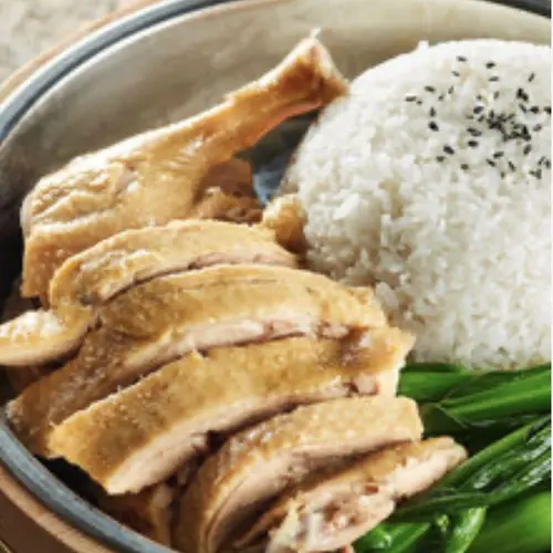 Marinated Duck Over Rice