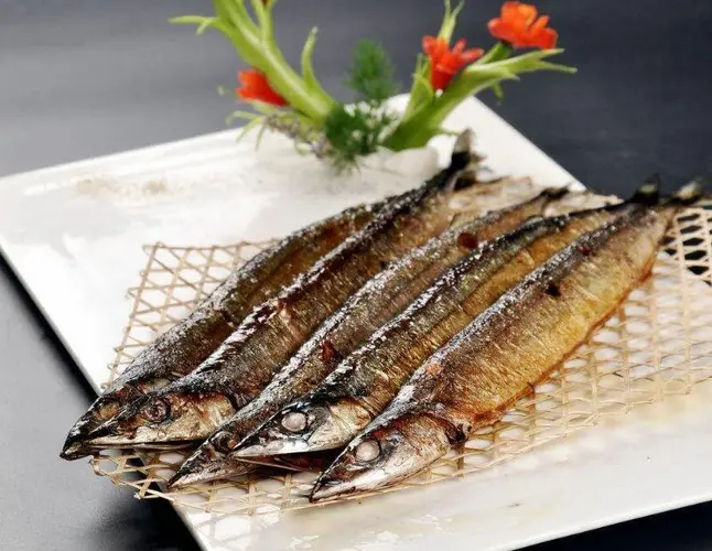 Pacific Saury