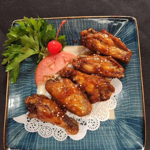 Akira Wings